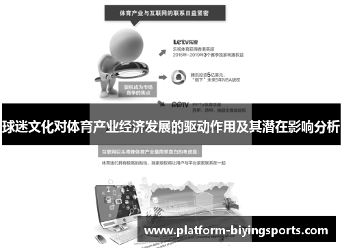 球迷文化对体育产业经济发展的驱动作用及其潜在影响分析