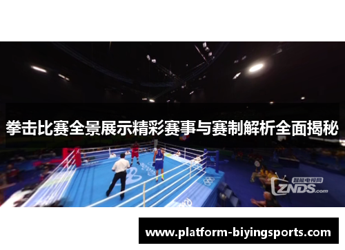 拳击比赛全景展示精彩赛事与赛制解析全面揭秘