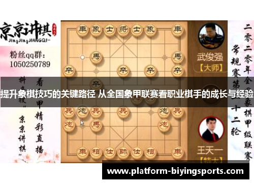 提升象棋技巧的关键路径 从全国象甲联赛看职业棋手的成长与经验