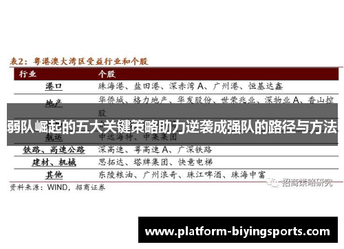弱队崛起的五大关键策略助力逆袭成强队的路径与方法