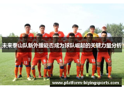 未来泰山队新外援能否成为球队崛起的关键力量分析