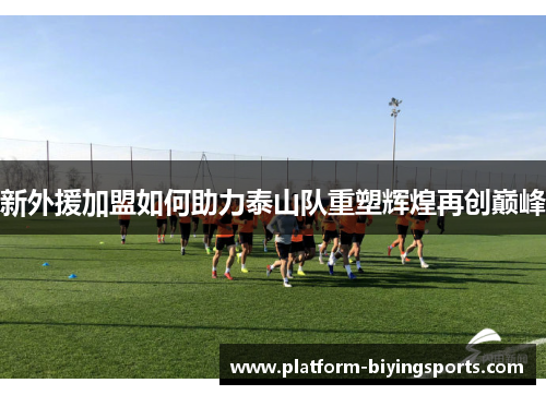 新外援加盟如何助力泰山队重塑辉煌再创巅峰