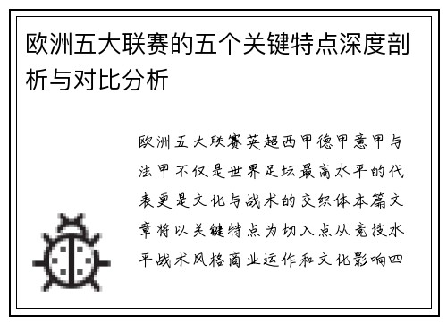 欧洲五大联赛的五个关键特点深度剖析与对比分析