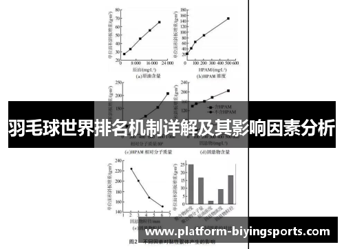 羽毛球世界排名机制详解及其影响因素分析