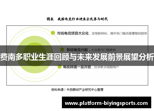 费南多职业生涯回顾与未来发展前景展望分析 费南多职业生涯回顾与未来发展前景展望分析