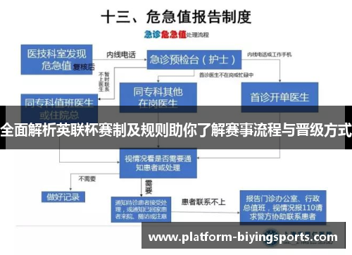全面解析英联杯赛制及规则助你了解赛事流程与晋级方式 全面解析英联杯赛制及规则助你了解赛事流程与晋级方式