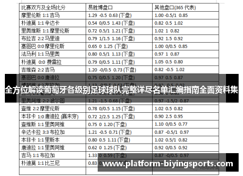 全方位解读葡萄牙各级别足球球队完整详尽名单汇编指南全面资料集 全方位解读葡萄牙各级别足球球队完整详尽名单汇编指南全面资料集
