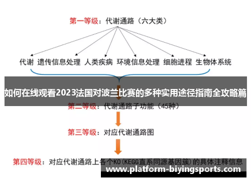 如何在线观看2023法国对波兰比赛的多种实用途径指南全攻略篇 如何在线观看2023法国对波兰比赛的多种实用途径指南全攻略篇